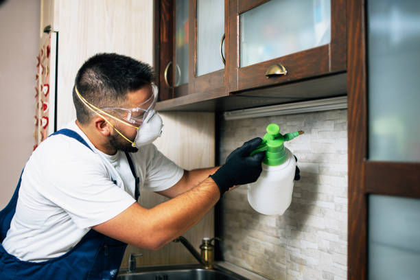 Best Exterminator Services  in Westerville, OH