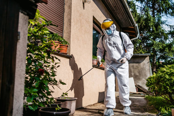 Best Affordable Pest Control Services  in Westerville, OH