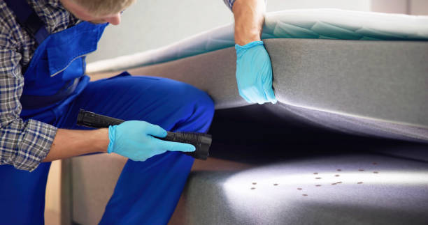Best Rat Extermination Near Me  in Westerville, OH