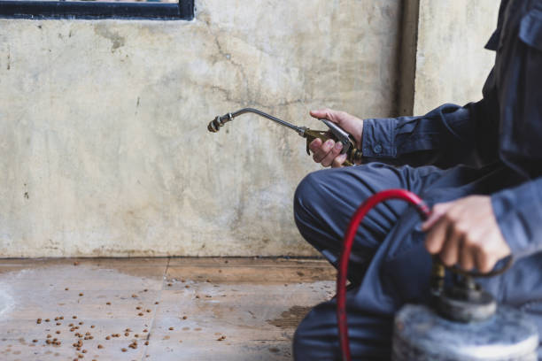 Reliable Westerville, OH Pest Control Solutions